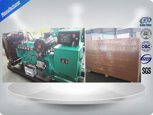 La Cina Gasificatore globale da biomassa da 10 kW a 1000 kW con generatore a gas fornitore