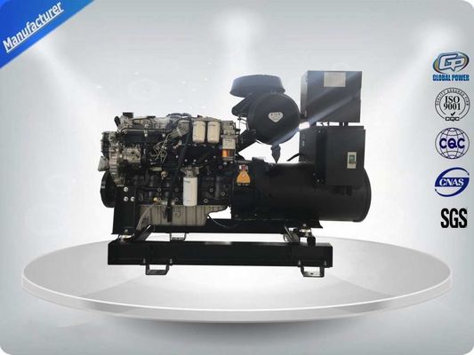 La Cina Potenza in attesa 132kw / 165kva Perkins Diesel Genset 1106A-70TAG2 Delixi switch fornitore