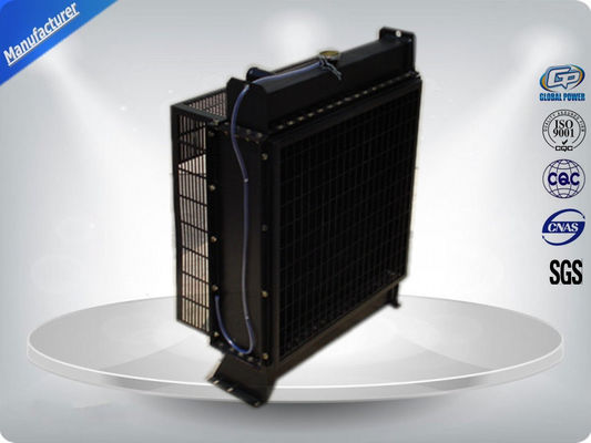 Apra il gruppo elettrogeno diesel fornitore