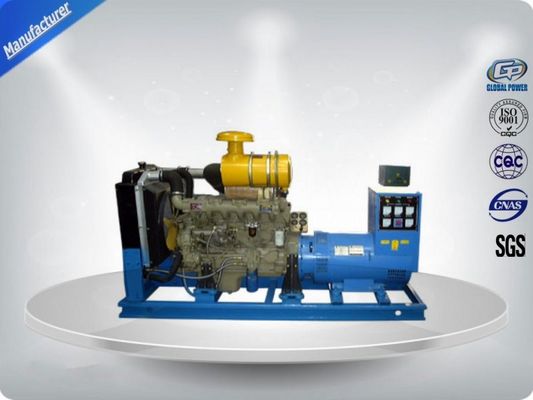 Gruppo elettrogeno a gas naturale ad alta tecnologia Motore a gas a basso consumo Generatore di metano fornitore